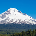 The Importance of Selecting the Right Board Members for Nonprofit Organizations in Clackamas County, Oregon