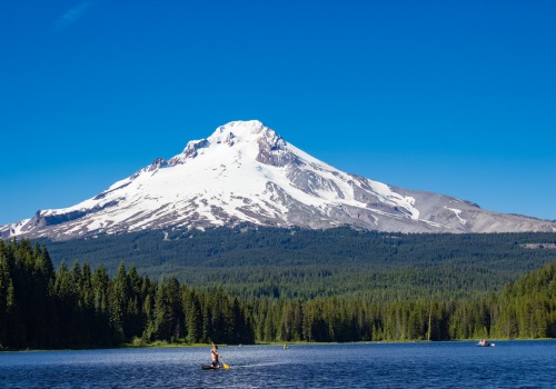 The Importance of Selecting the Right Board Members for Nonprofit Organizations in Clackamas County, Oregon